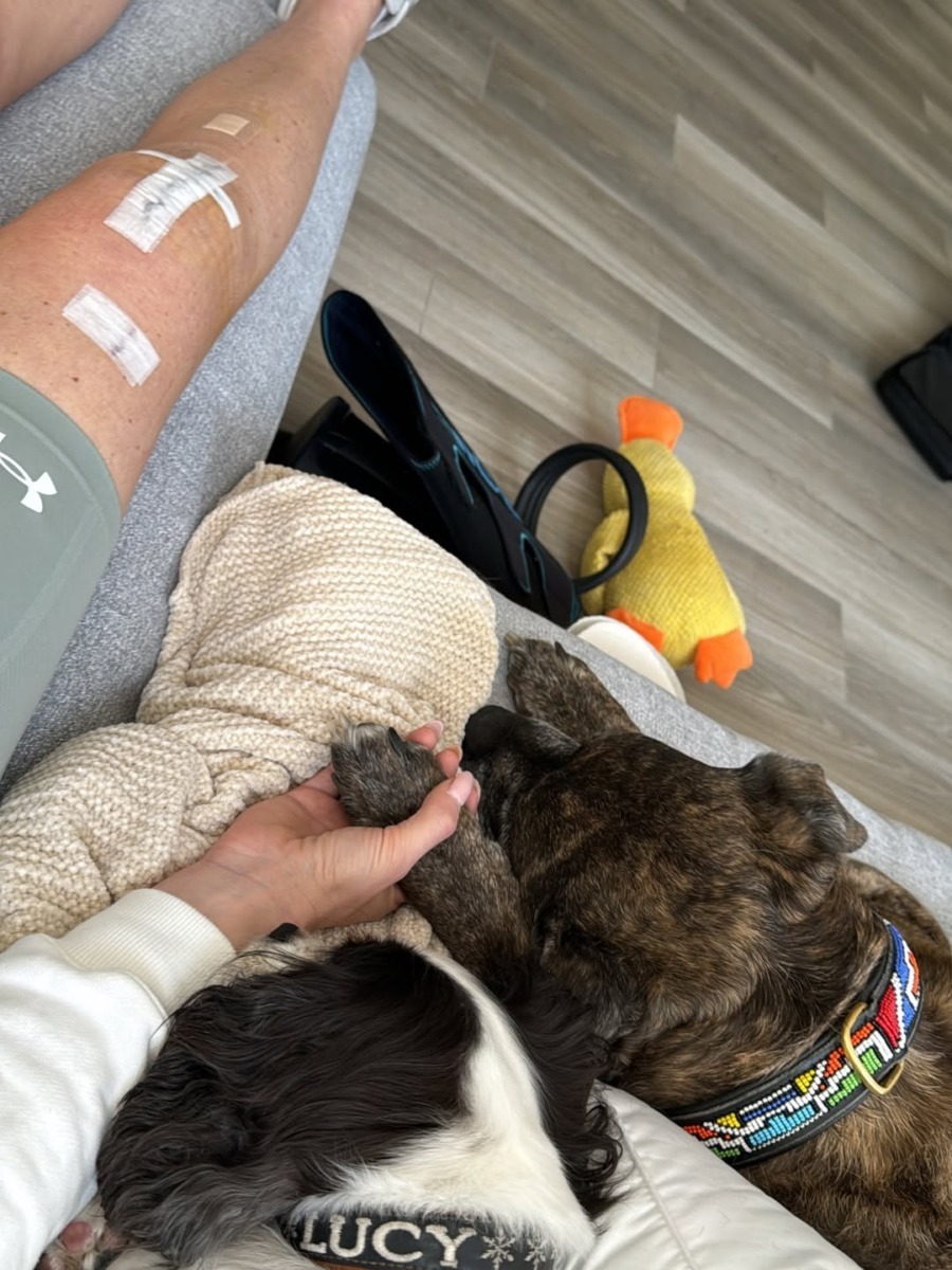 downloadgram.org_638252835_18564306010039102_8048080469334511849_n