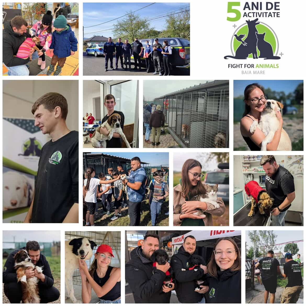 fight-for-animals-maramures-------