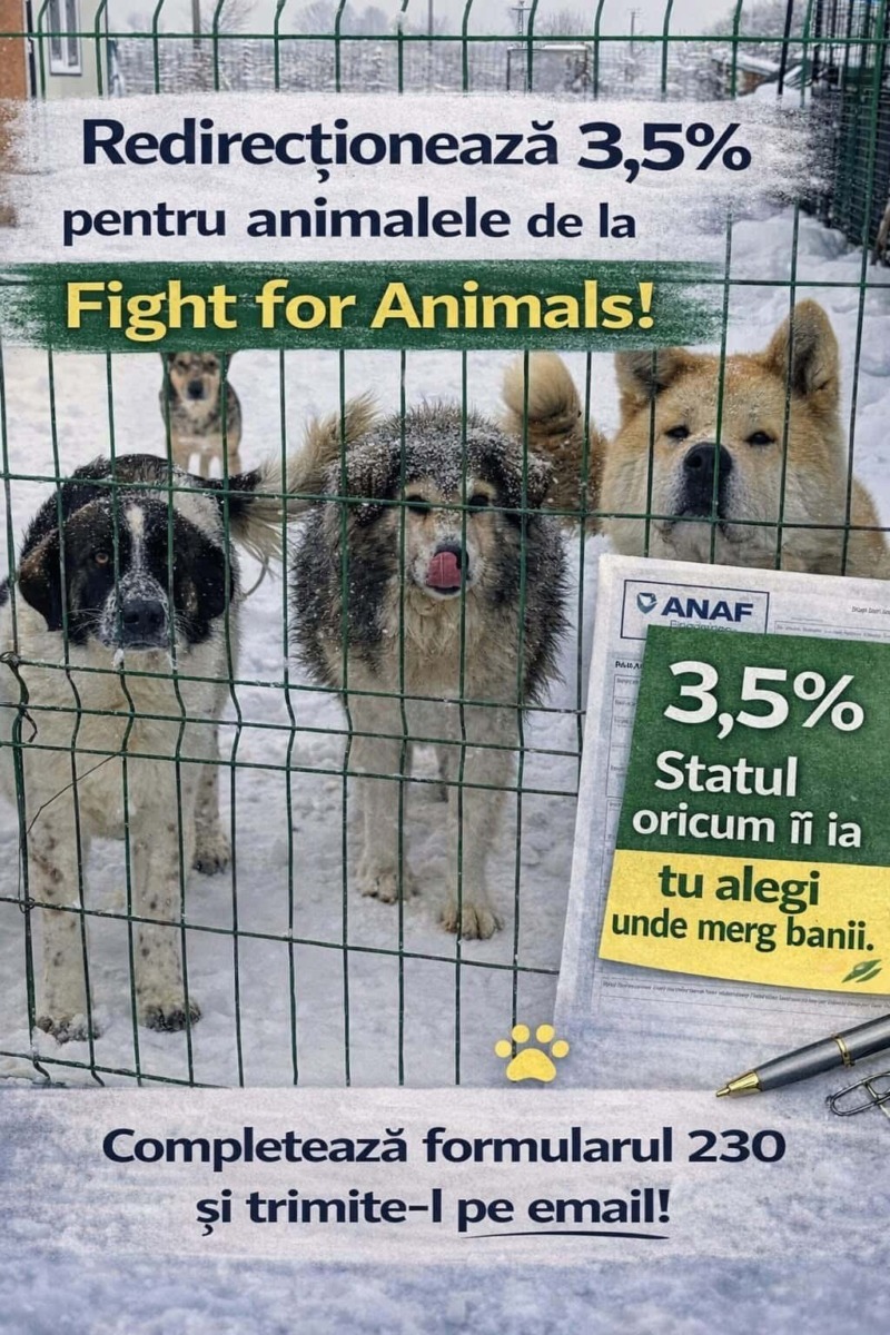 fight-for-animals-maramures-----