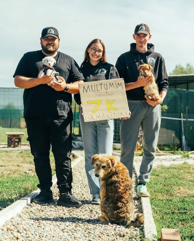 fight-for-animals-maramures--