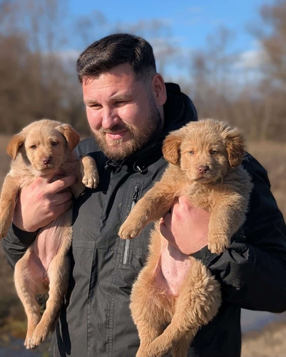 fight-for-animals-maramures-