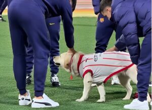 Jucătorii barcelonei se joacă cu un câine înainte de meciul cu Girona din La Liga