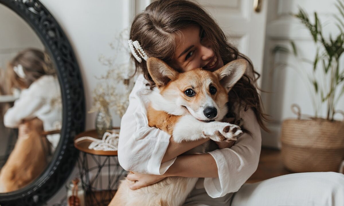 Greseli care scurteaza viata animalelor de companie