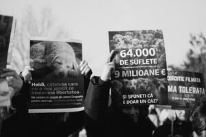 Imagini de la protestul pentru drepturile animalelor din data de 22 februarie 2026, în fața Parlamentului României