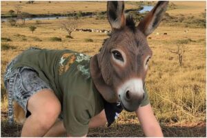 Copil costumat în măgar