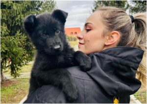 catei in bratele unei femei