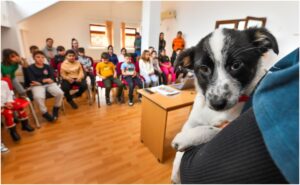 Un cățel alb cu negru, stând în brațele unei femei, într-o clasă cu copii