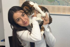 O angajată a Biroului pentru Protecția Animalelor Ilfov ține în brațe o pisică