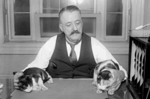 pisica-lui-schrodinger