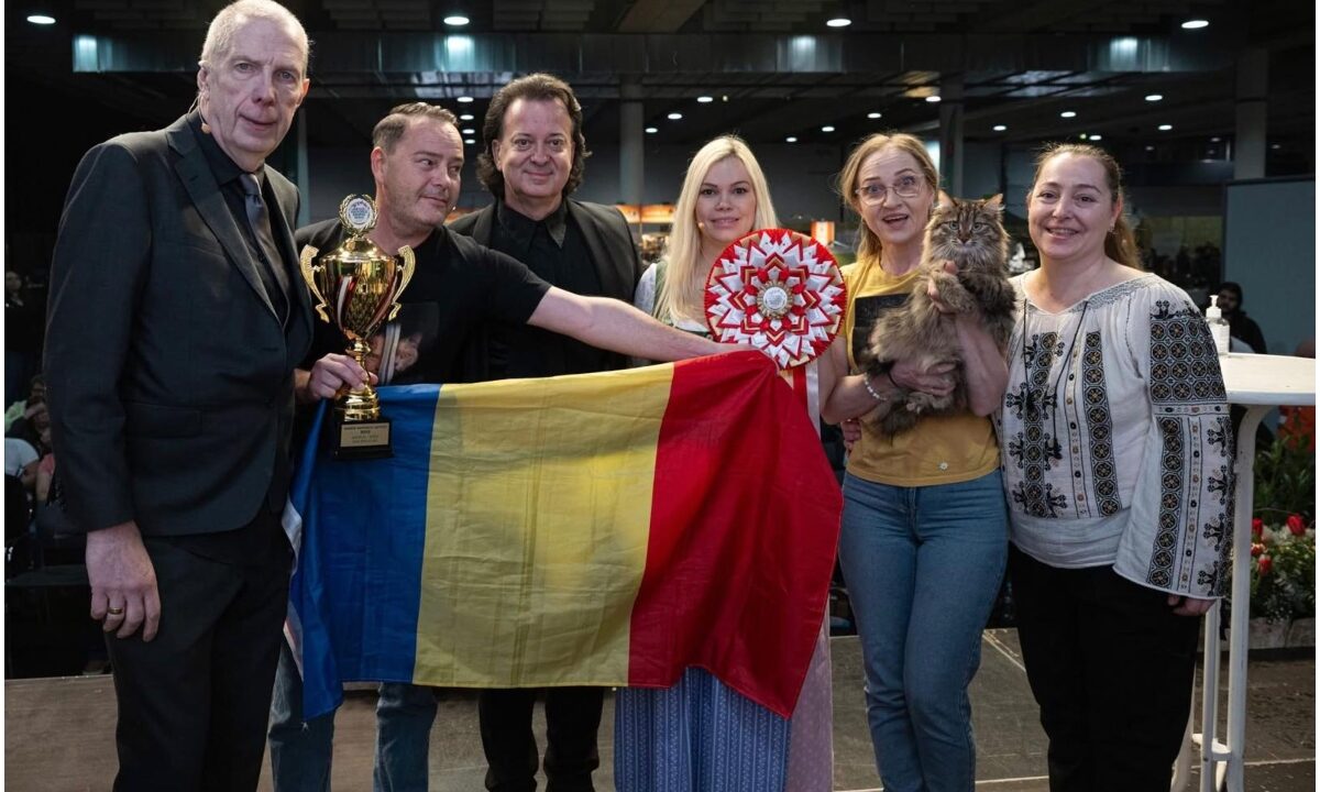 Pisica Duracell, câștigătoarea Campionatului de la Graz