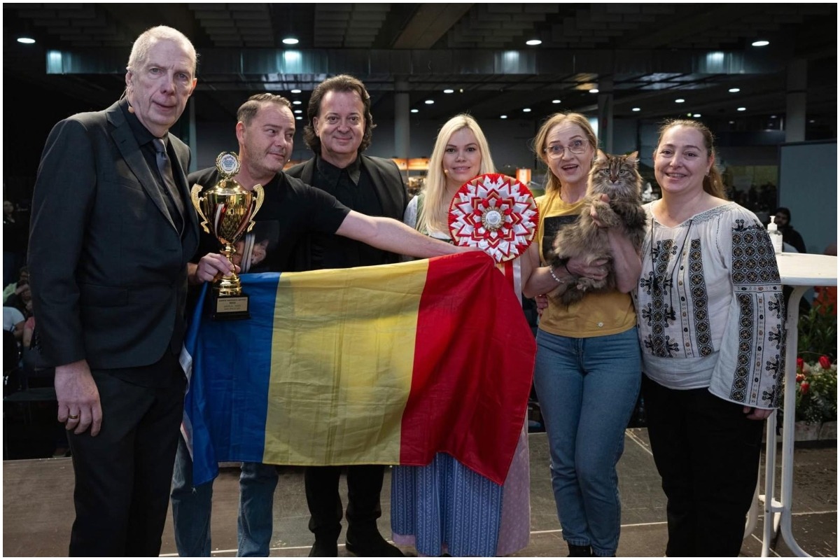 Pisica Duracell, câștigătoarea Campionatului de la Graz