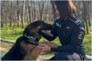 Polițistă și partenera sa canină
