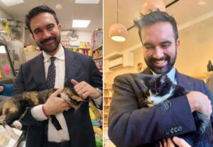 primarul New Yorkului tine in brate pisici