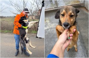 caine tinut in brate de un barbat si caine tinut de labute de o femeie
