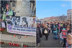 Iubitorii de animale din Cluj, la un protest spontan organizat în centrul orașului