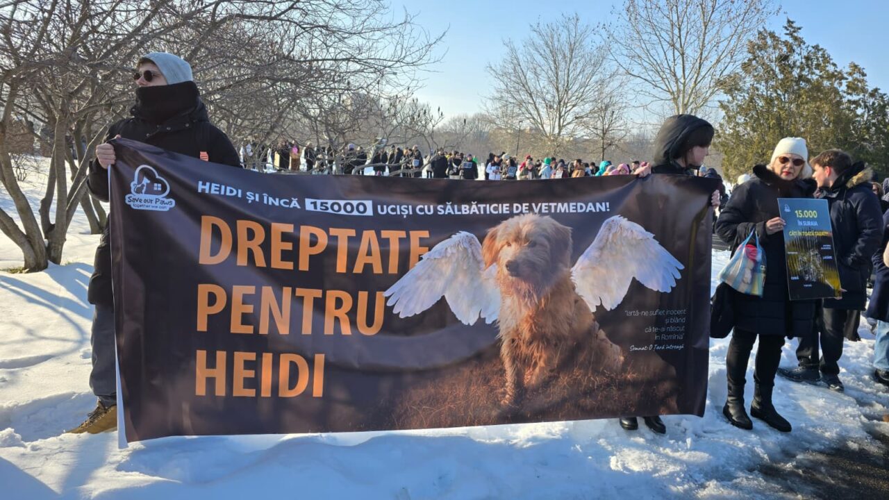 Sute de oameni protestează în fața Parlamentului României pentru drepturile animalelor