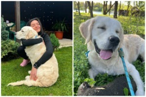 Colaj cu Roli, golden retriever, si Ilinca