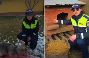 politisti langa animale si langa adaposturi pentru animale