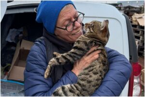 Femeie cu o pisică tigrată în brațe