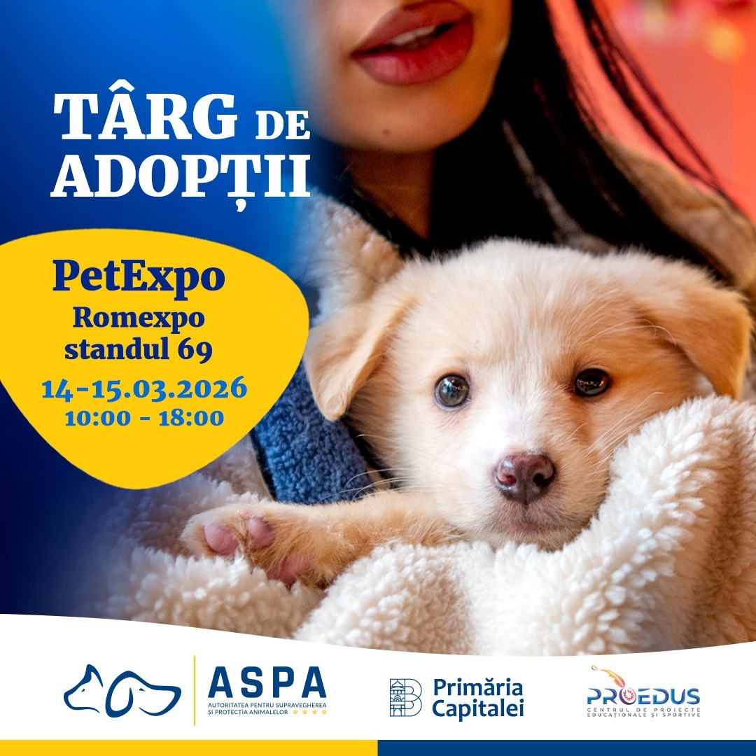 un nou targ de adoptii