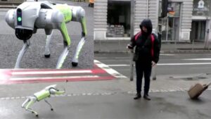 caine robot pe strada