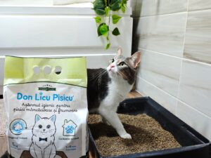 whatsappimage2026-02-06at13.43.47