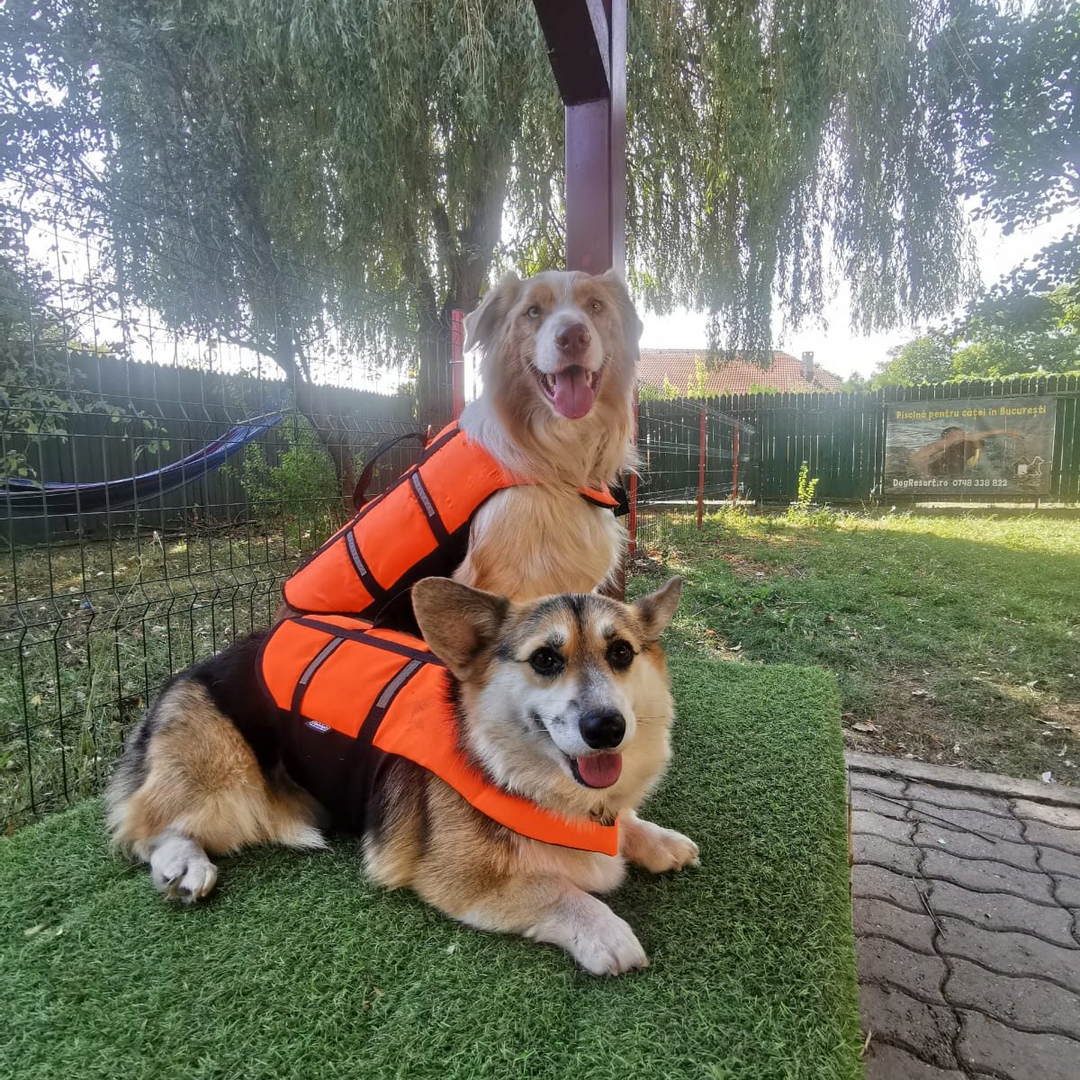 627349597_1557623819701408_4953430694852626432_n