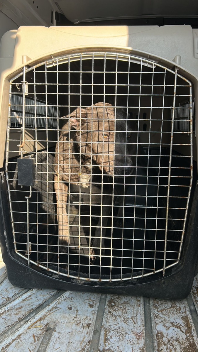 645351302_939216741808285_6063038679748344921_n