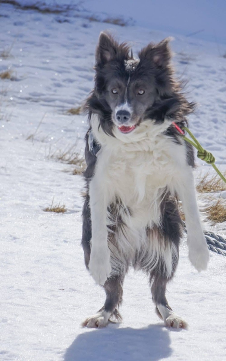 645755951_1332244628933209_8159254670576205583_n