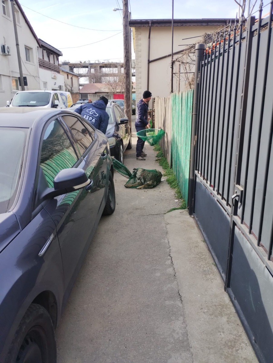 654571241_1279683544316780_2831724420451363456_n