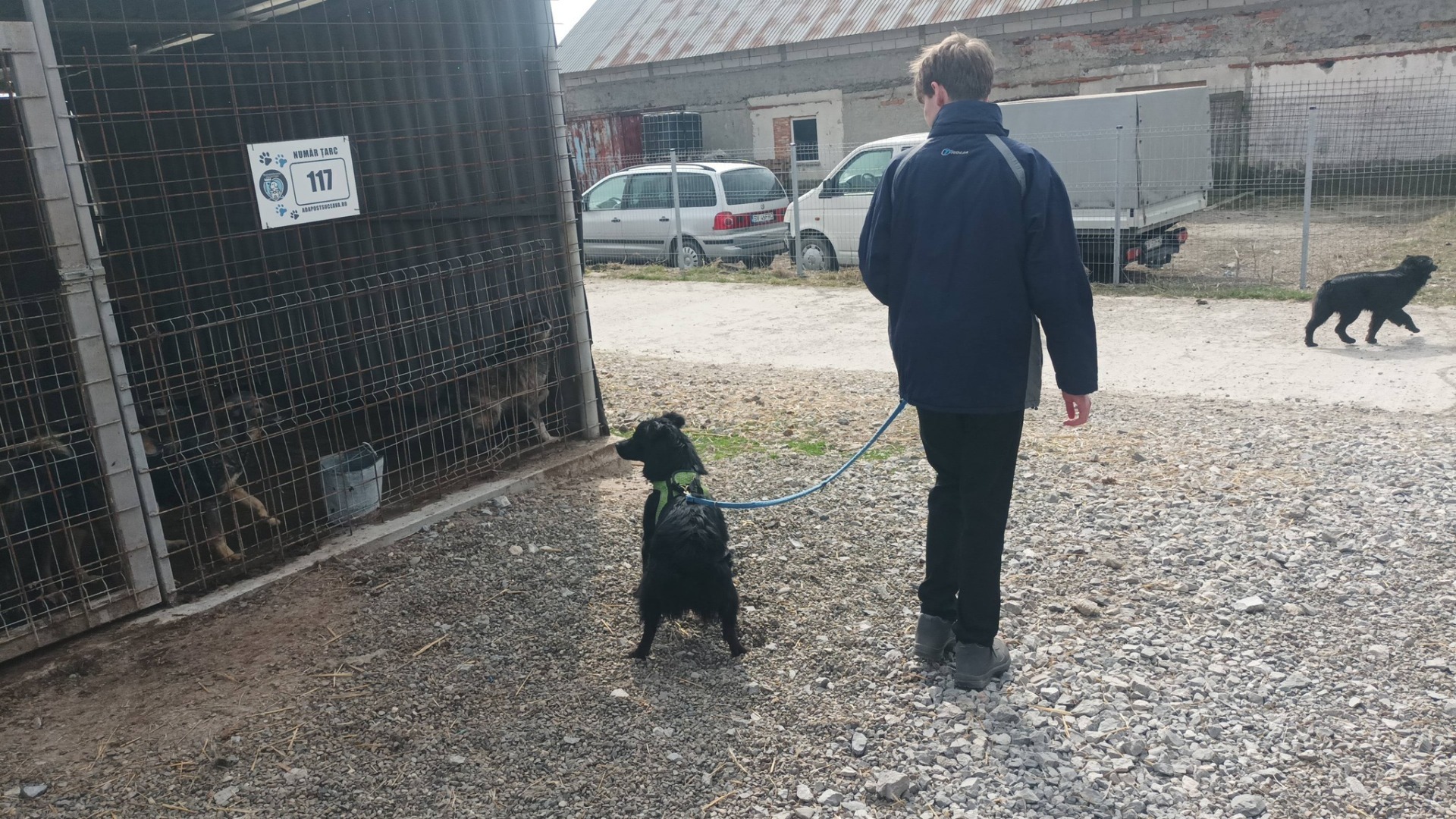 654686536_122161563968728537_5321092072387042548_n