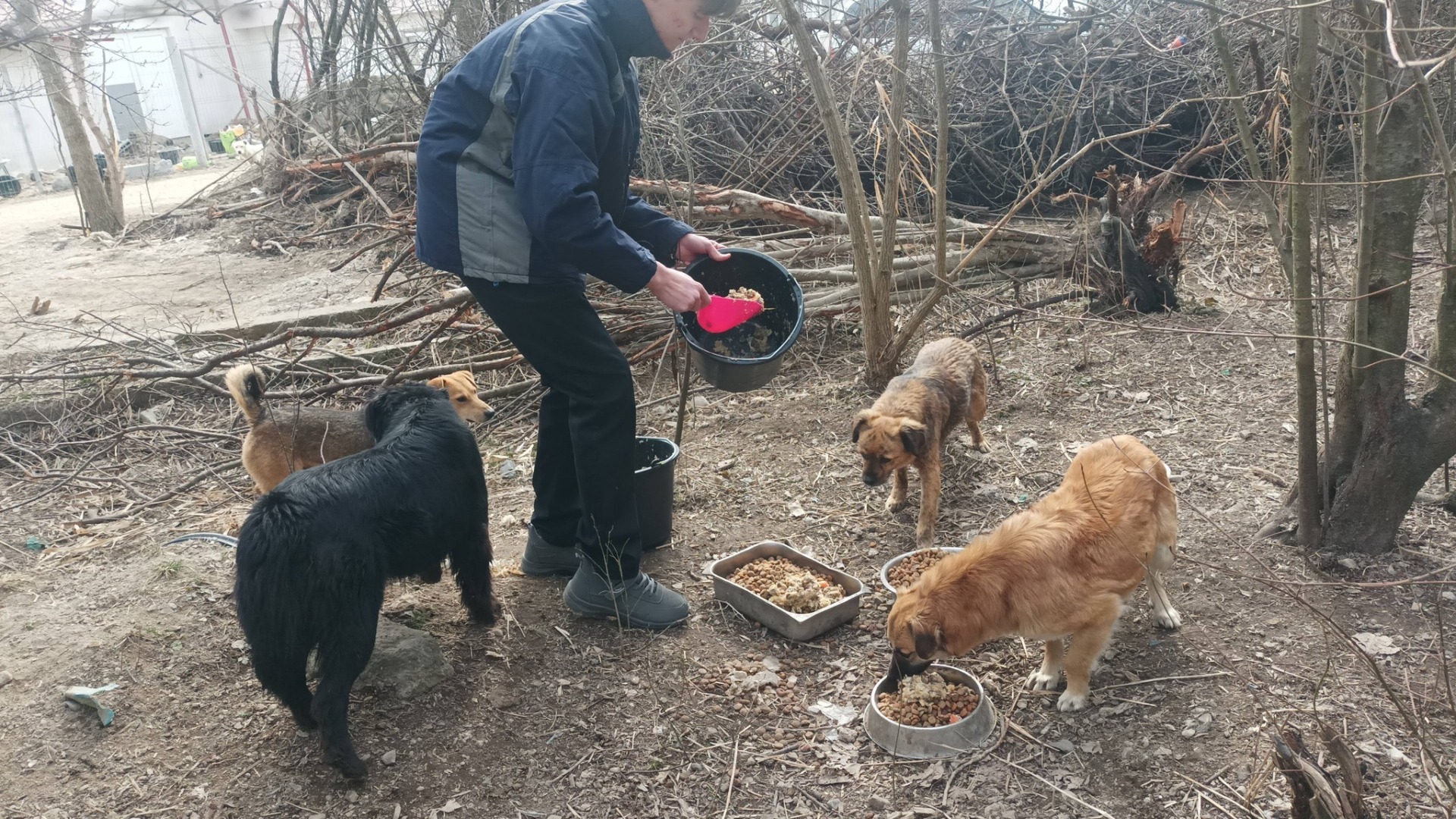 654812134_122161563878728537_6333022545379226516_n