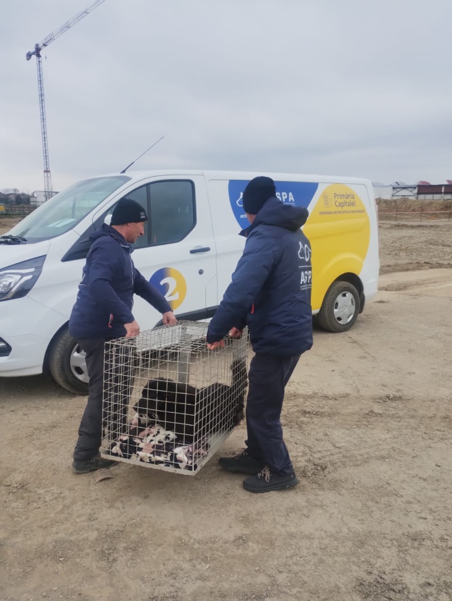 654821869_1279683690983432_7770709745013401258_n