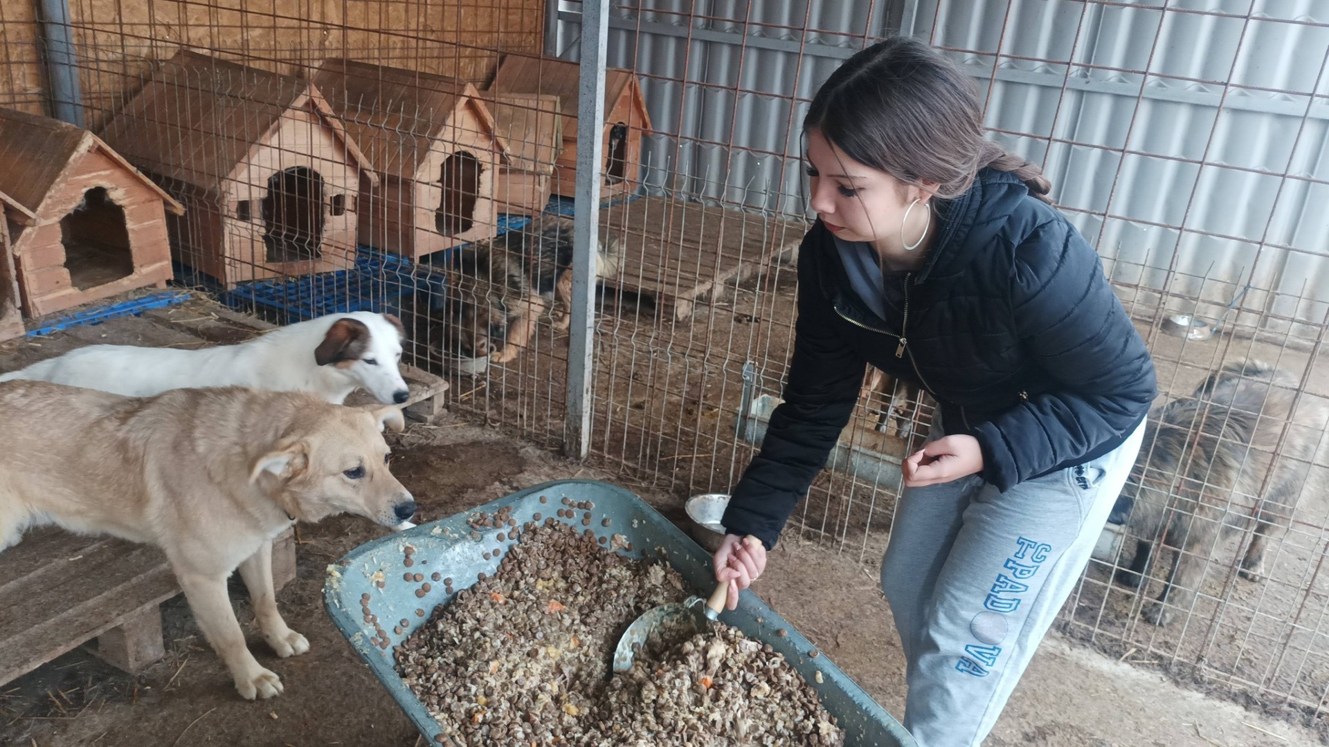 655171345_122161563392728537_109020229958568428_n