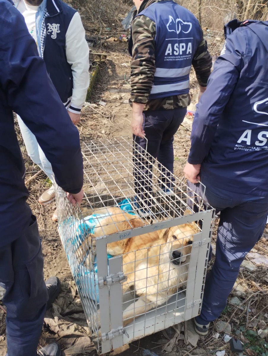 655950177_1279683590983442_5021152451768000297_n