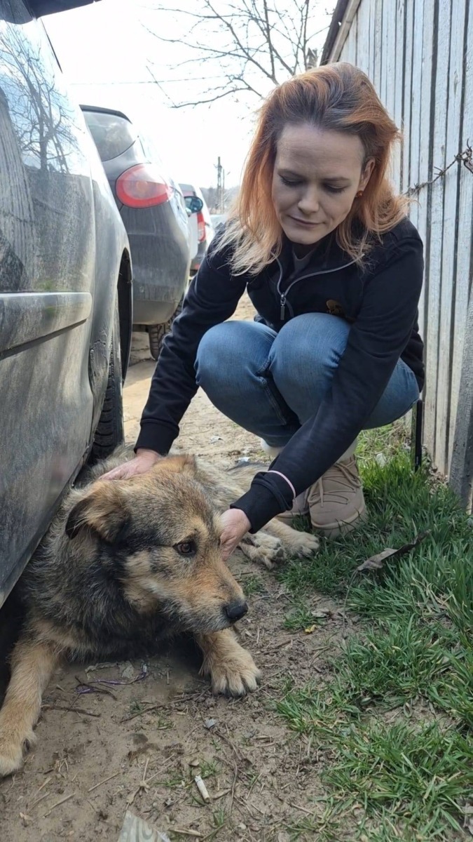 656118177_26259216700364063_1406865332689470162_n