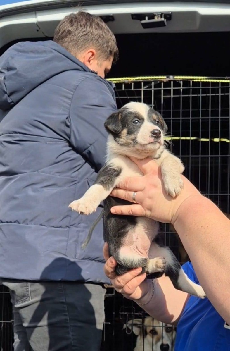 656184018_26259215827030817_4543517874213364531_n