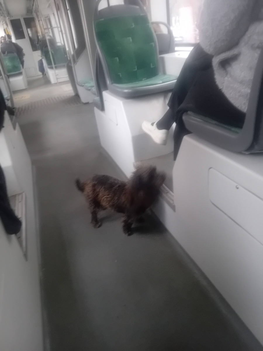 656420430_2451398025685040_1389896095116169257_n