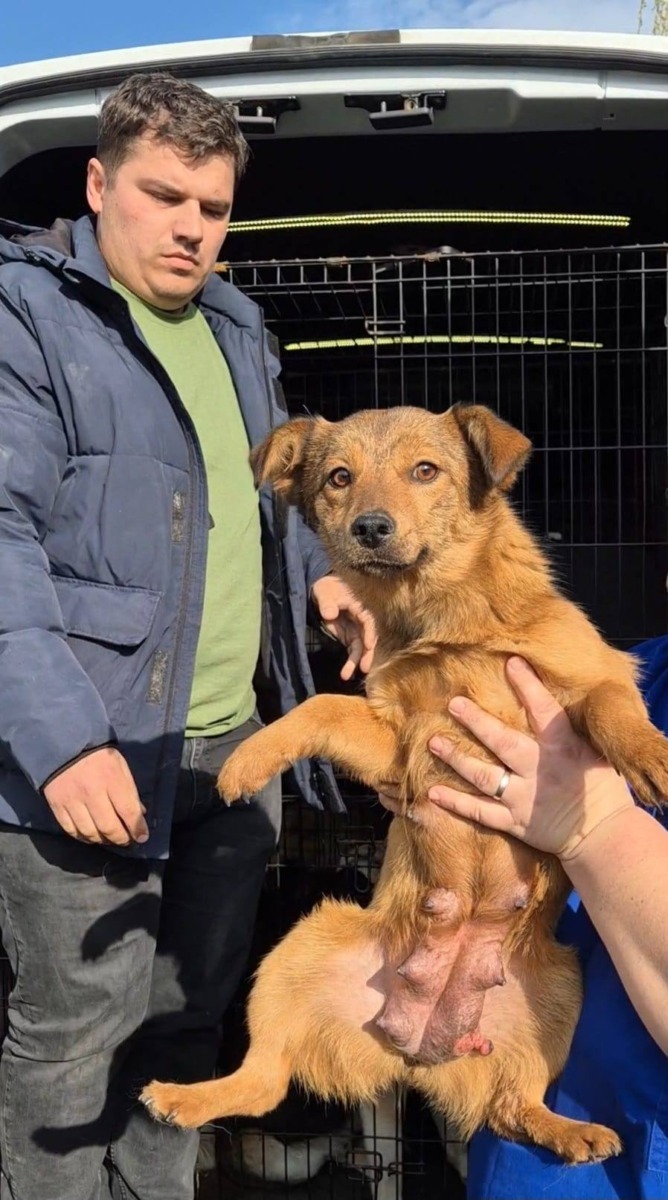 656562848_26259216017030798_5559862635377099590_n