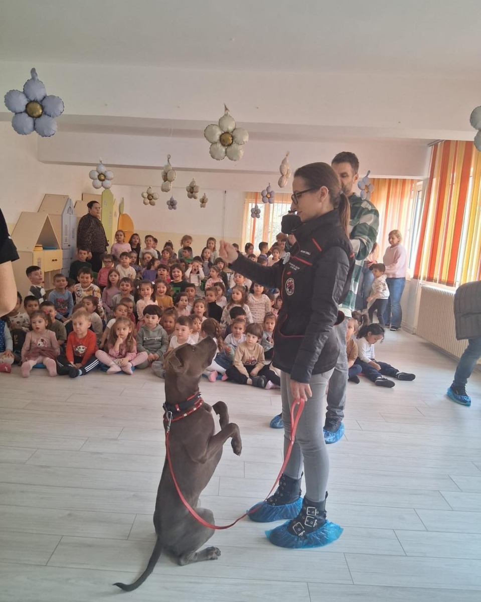 656731390_955651333498159_3874754549567989576_n