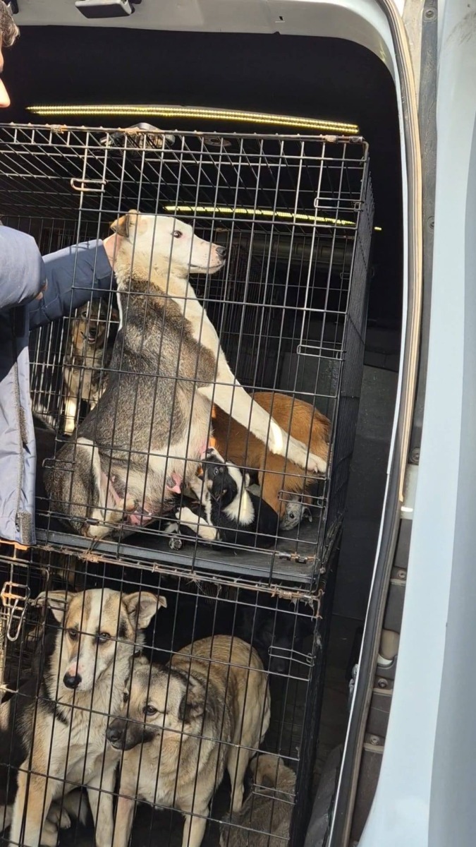 656745453_26259216190364114_2106093869238432136_n