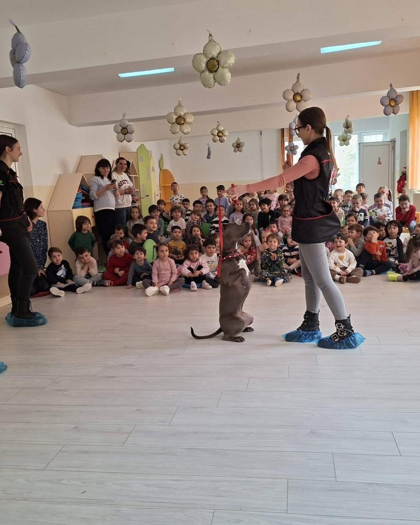 656903983_955651256831500_1354668739859603394_n