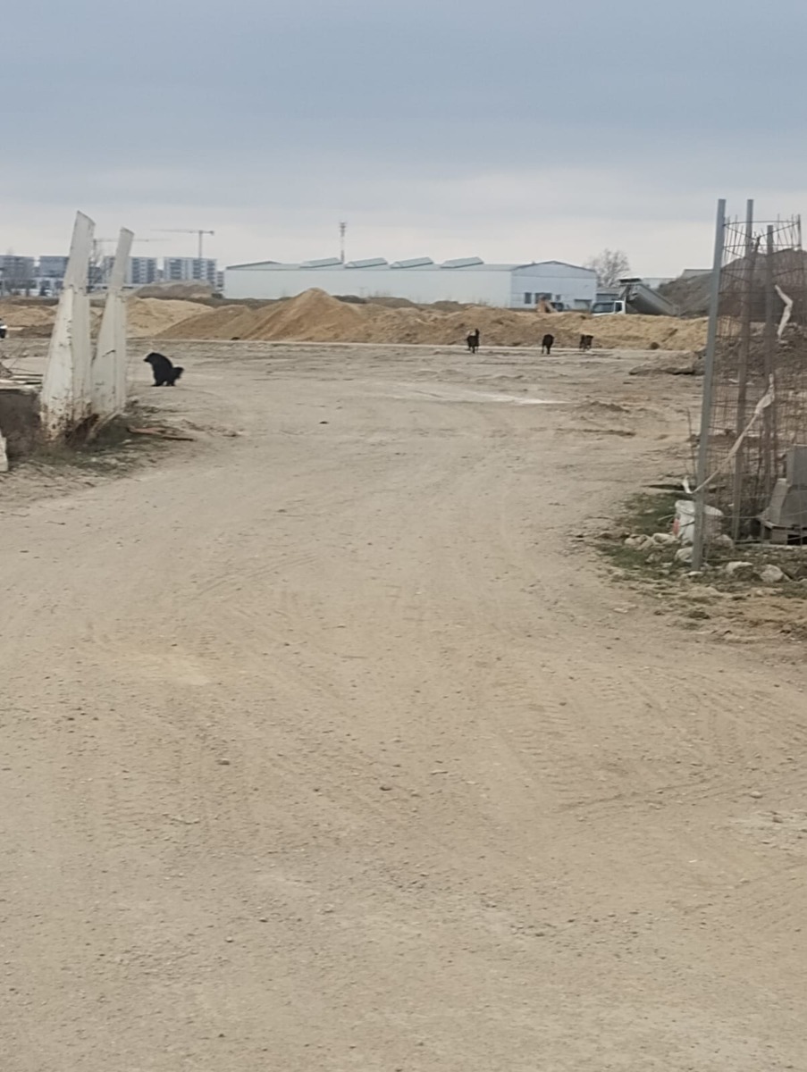 657250817_1279683520983449_4713174278344928387_n