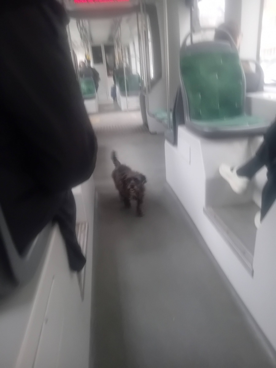 657346163_2451398122351697_1139424472522222955_n