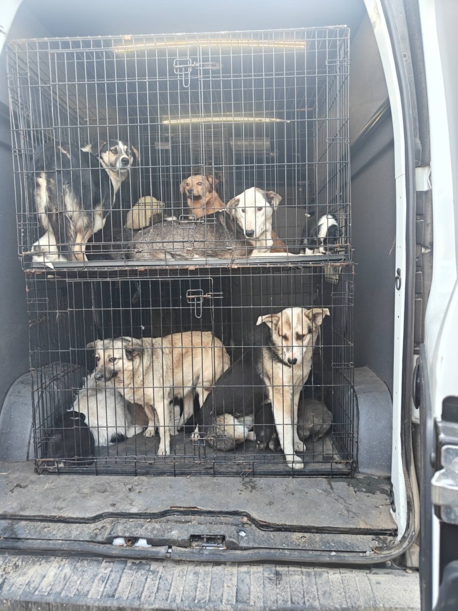 657347927_26259216943697372_5772811970558069549_n