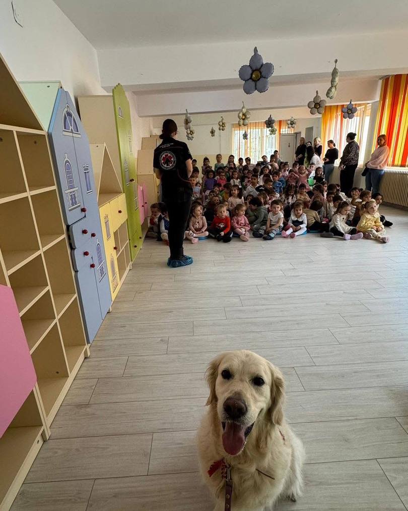 659039740_955651250164834_162424420391260129_n