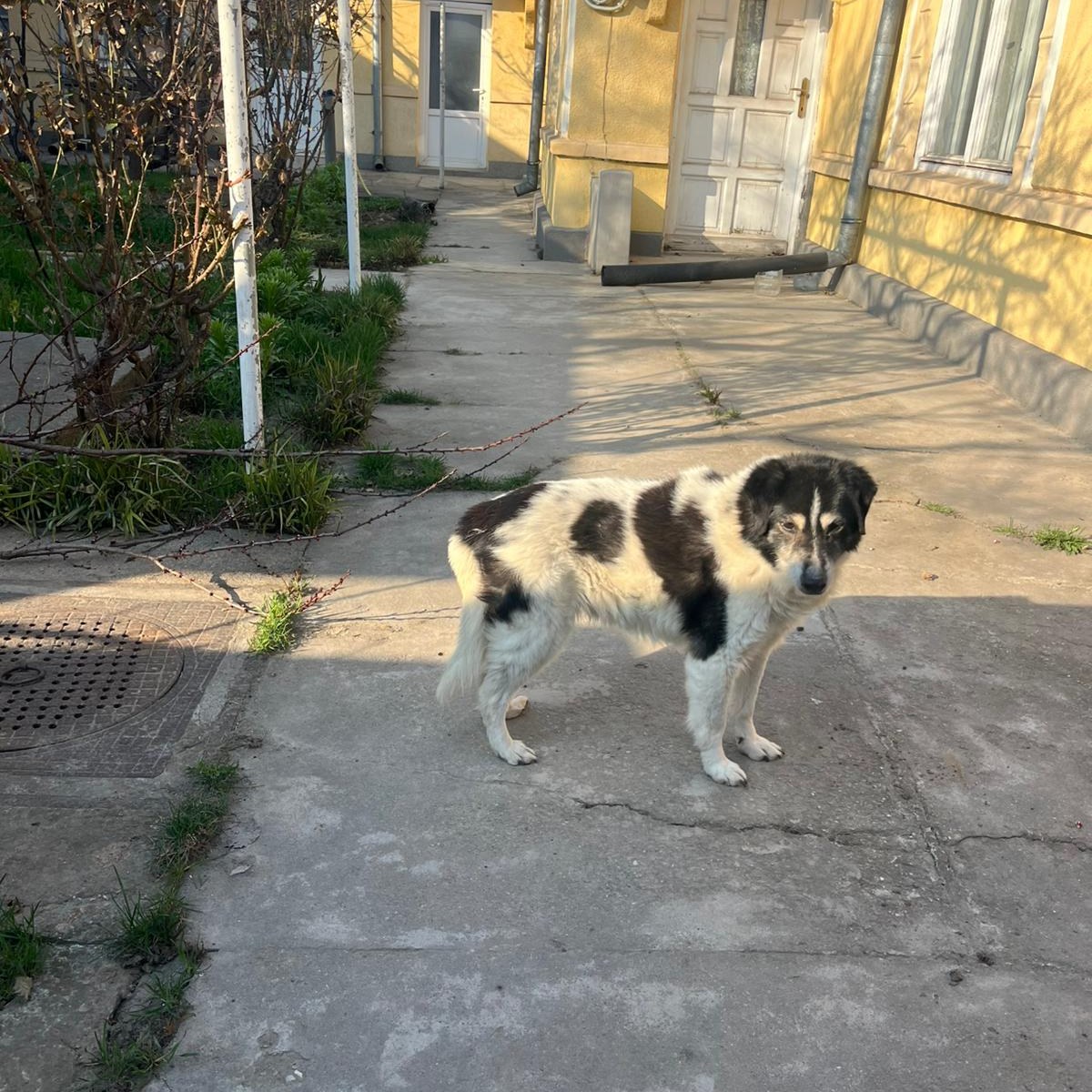 659061273_1281513347467133_5378974859305766992_n