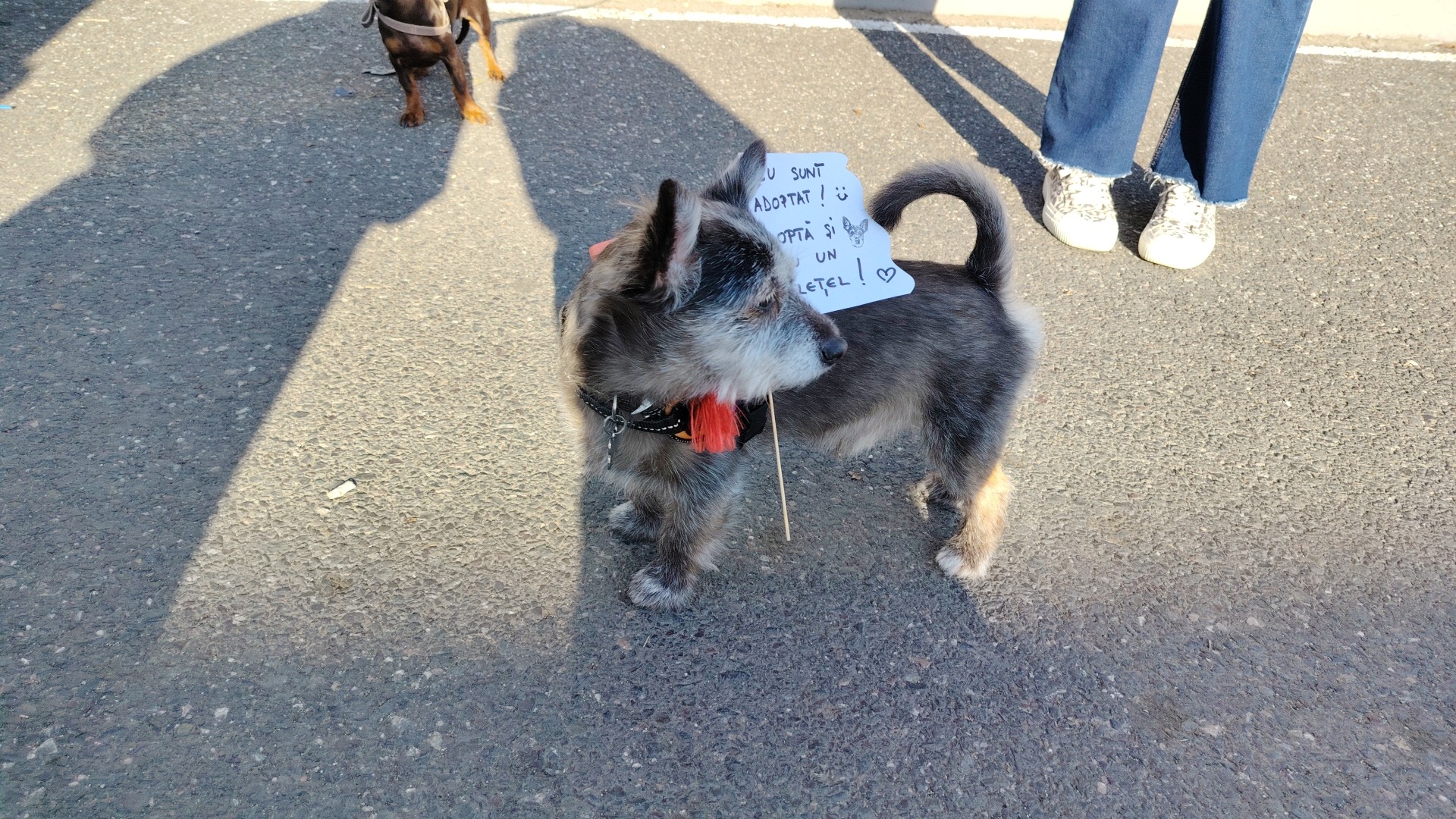 IMG_20260314_163602_1