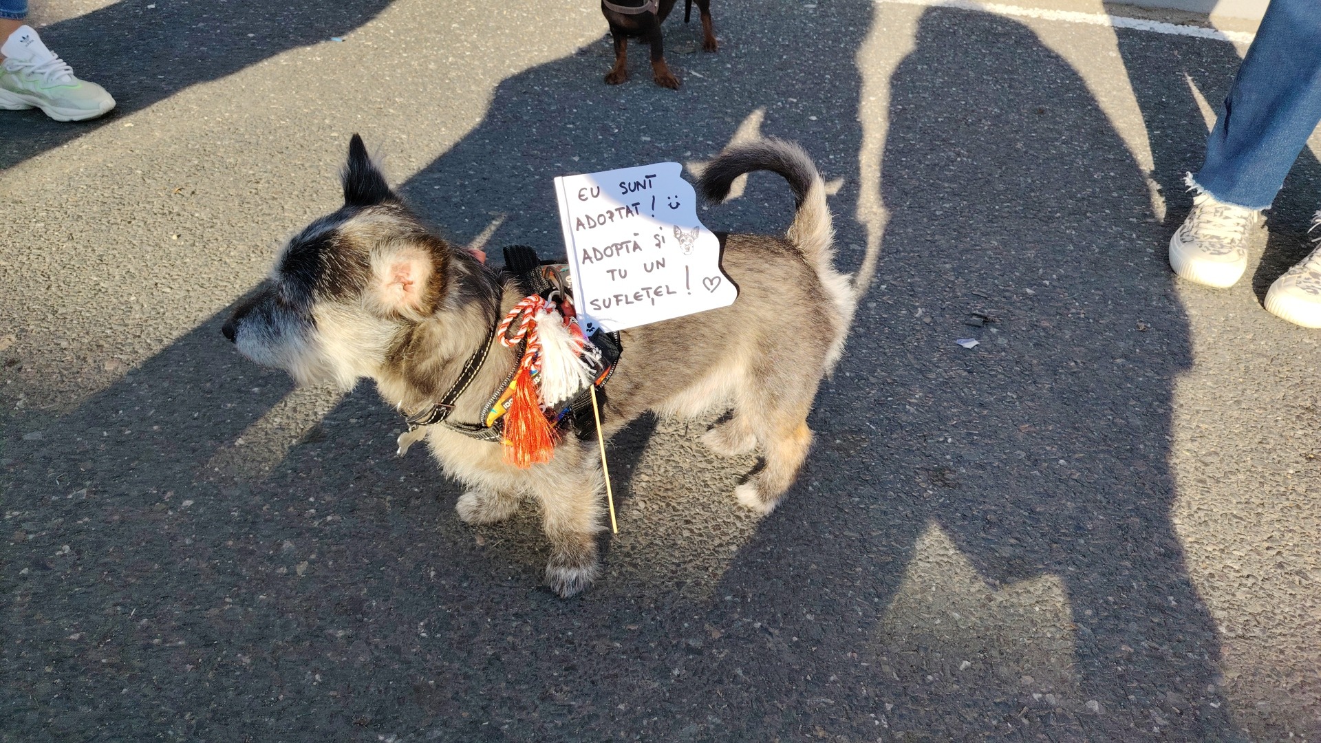 IMG_20260314_163605_1