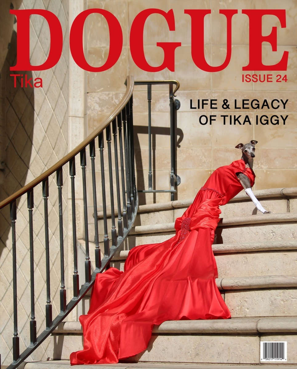 Coperta revistei Dogue